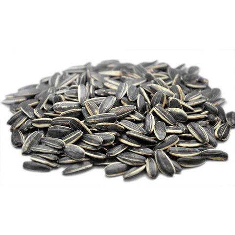 BLACK OIL SUNFLOWER SEED